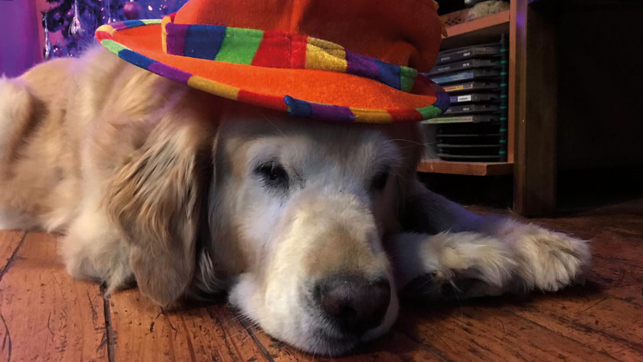 Acompañamiento empático en Puente Arcoíris