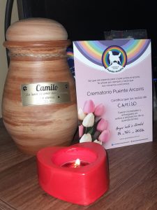 Homenaje compartido por Jéssica Gutiérrez