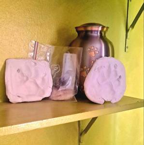 Homenaje compartido por Claudia Lazzerini